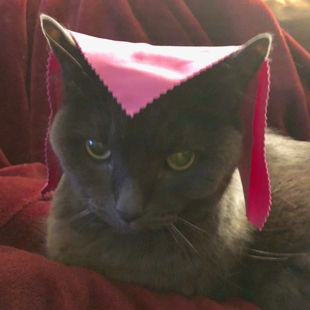 Meet your Posher, Jasmine